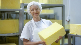 Завод по производству сыра на Кубани станет самым крупным в Европе